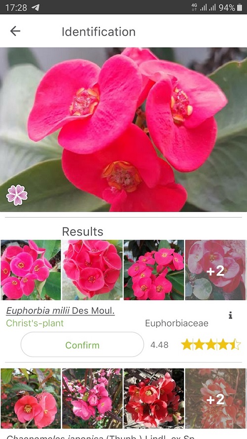 PlantNet - app Android nhận diện thực vật