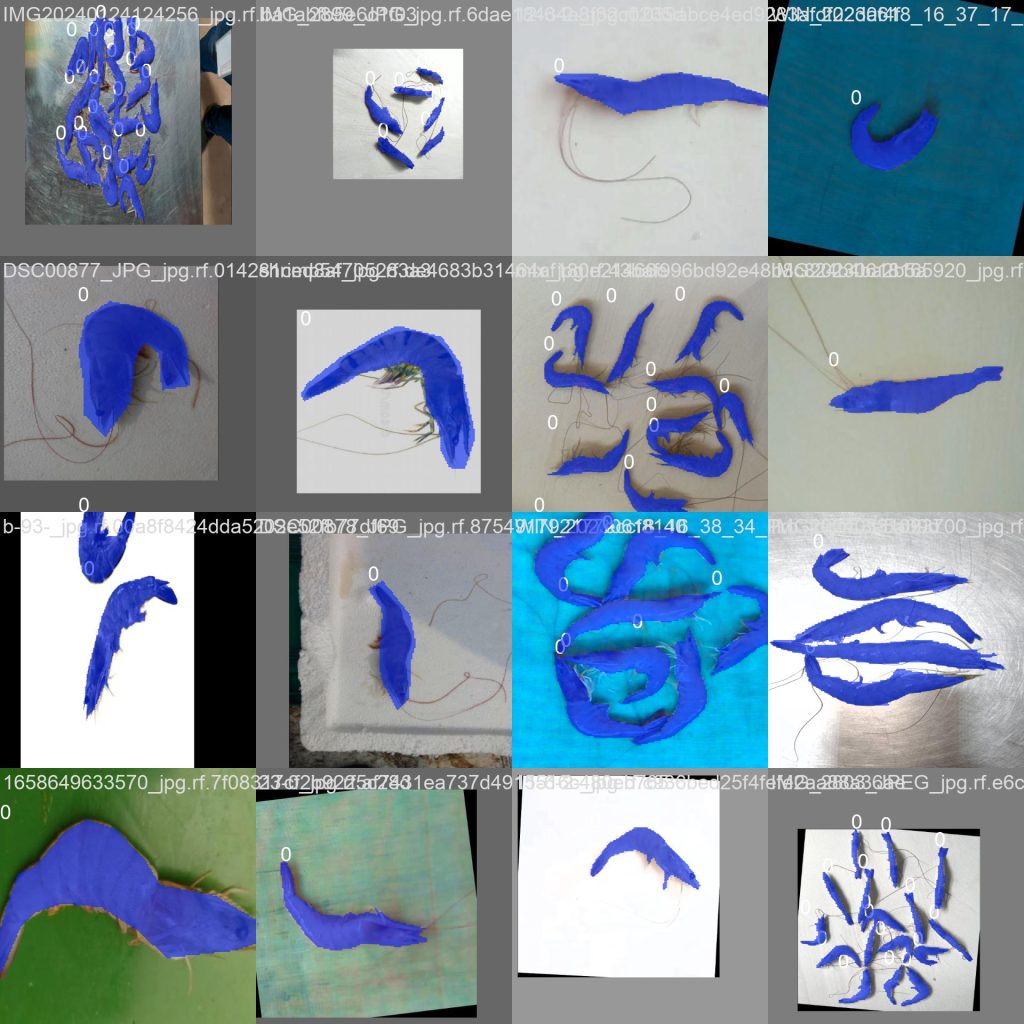 Hướng dẫn train custom model Instance Segmentation hình ảnh tôm bằng ...